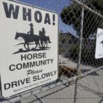 Horse culture in Narco, California
