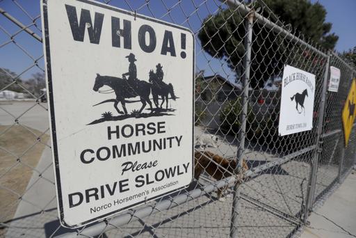 Horse culture in Narco, California