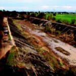supreme-court-deals-blow-to-punjab