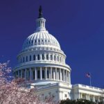American Carnage trumps road to ruin