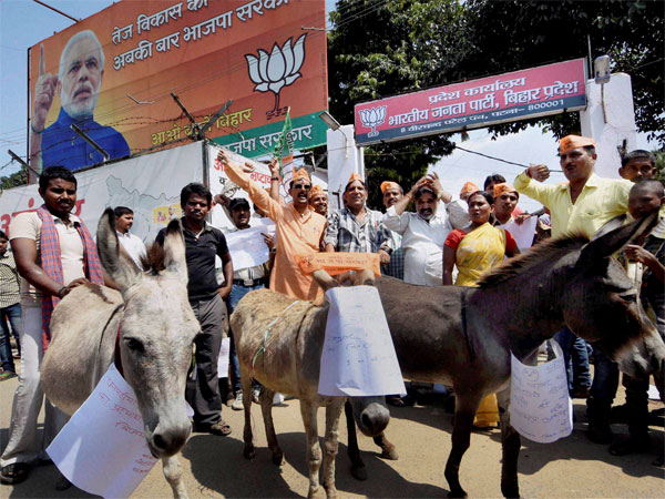 donkey-SPARE THE ANIMAL- SAYS PM
