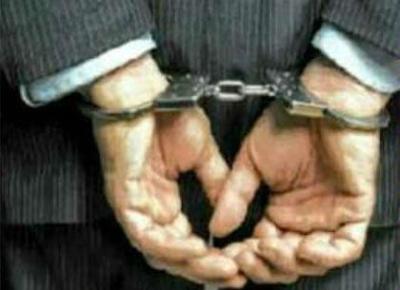 Indian Origin Man from Queens jailed for Alien