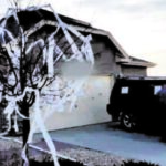 Indian mans house trashed with dog poop