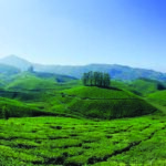 MUNNAR 1