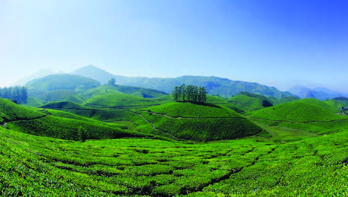 MUNNAR 1