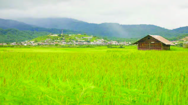 UNSPOILED