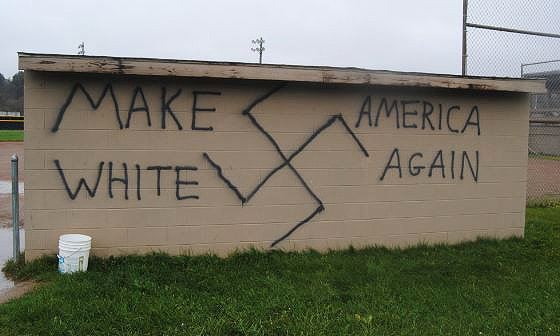 make-america-white-again