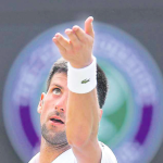 DJOKOVIC BREEZES