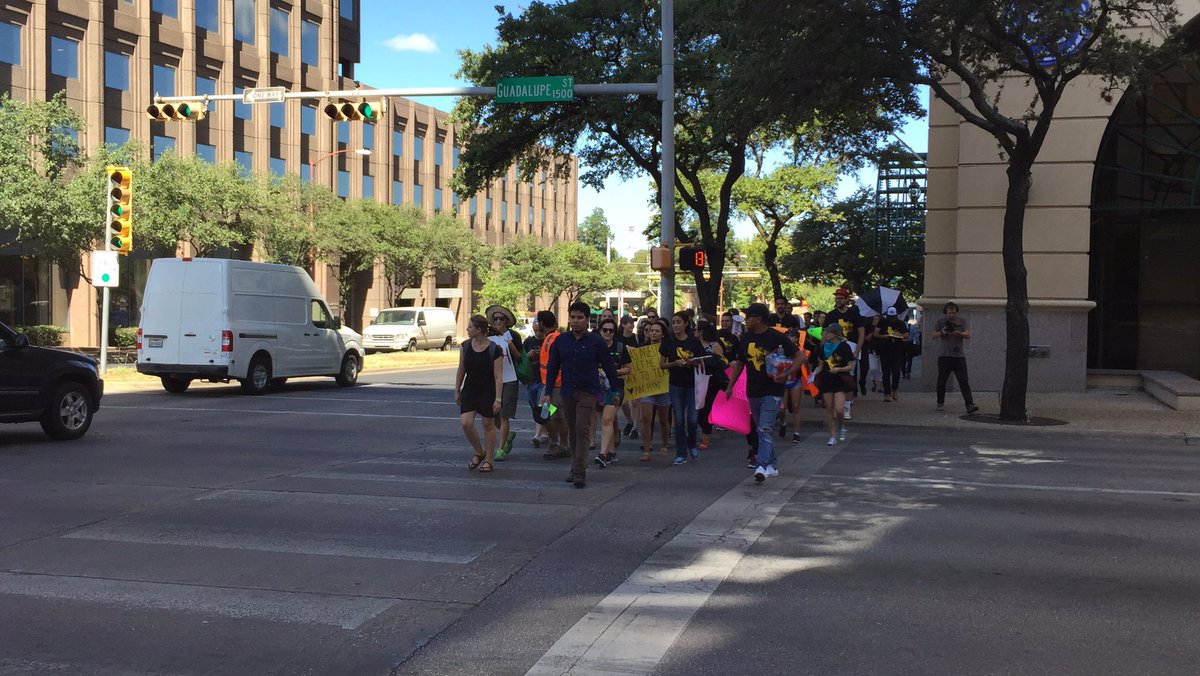 Protesters in Austin