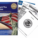 False VISA Applications