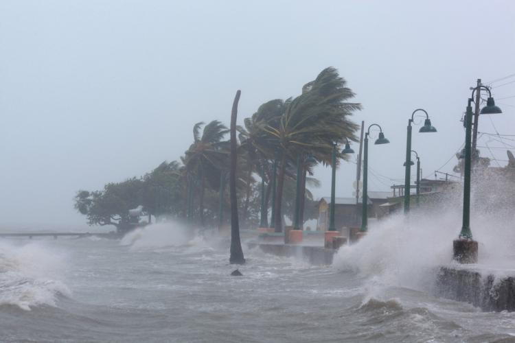 storm-irma