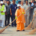yogi