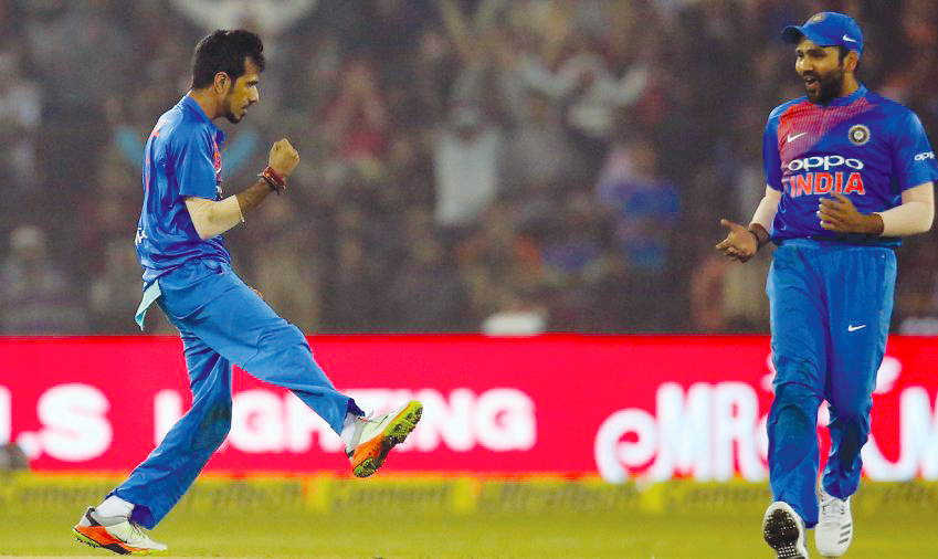 Cricket