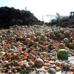 food waste composting
