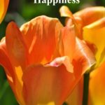 Book cover Positive Thinking