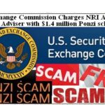 Indian Origin Investment Adviser Charged By US Federal Authorities With Million Dollar Fraud