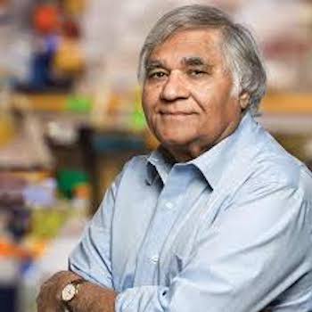 Indian American Cancer Scientist Put On Leave After Harassment Allegations