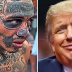 ms13