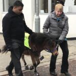 Indian-Origin Man Suffering From A degenerative Eye Condition First To Get Guide Horse In UK (1)