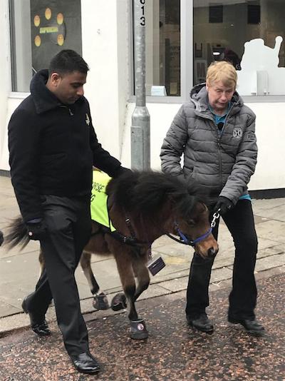 Indian-Origin Man Suffering From A degenerative Eye Condition First To Get Guide Horse In UK (1)