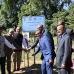 Plantation Ceremony