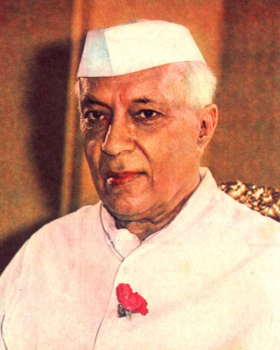 J nehru red rose