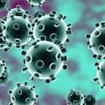 Corona Virus