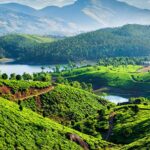 Kerala-Tea-Plantation-India