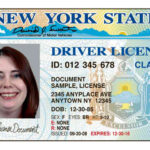 Driver License for representational purpose only