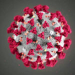 Logo Coronavirus