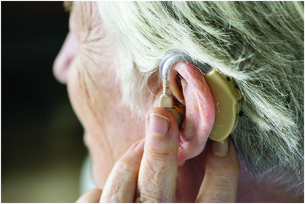 ear