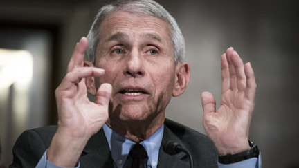Dr Fauci