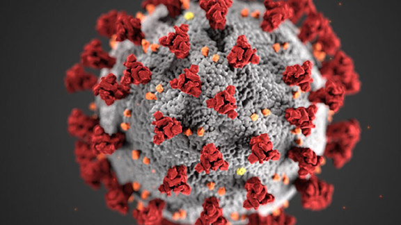 Logo of Coronavirus