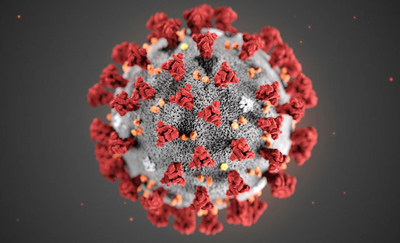 Logo of Coronavirus
