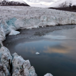Picture for the Dragon roams the Arctic