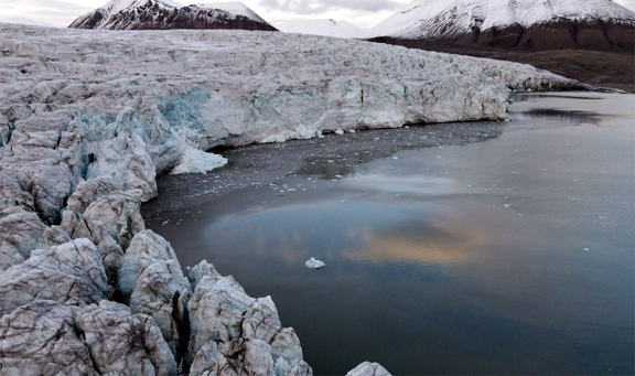 Picture for the Dragon roams the Arctic