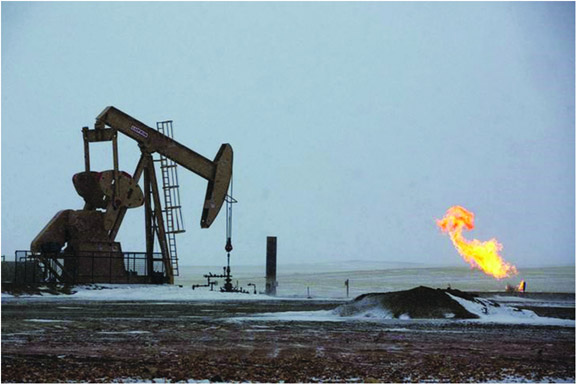 oil