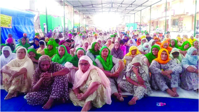 Farmers at