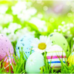egg