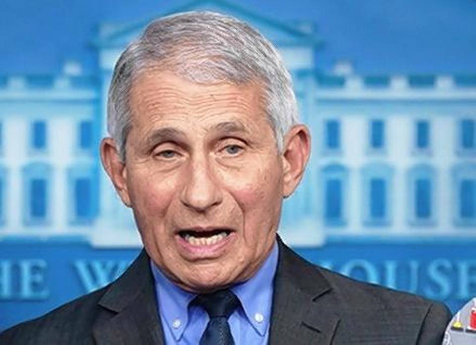 Anthony Fauci