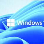 window