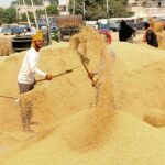 Pic for farmers need asured price