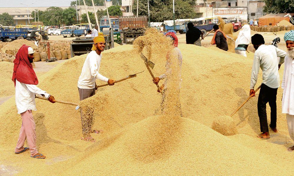 Pic for farmers need asured price