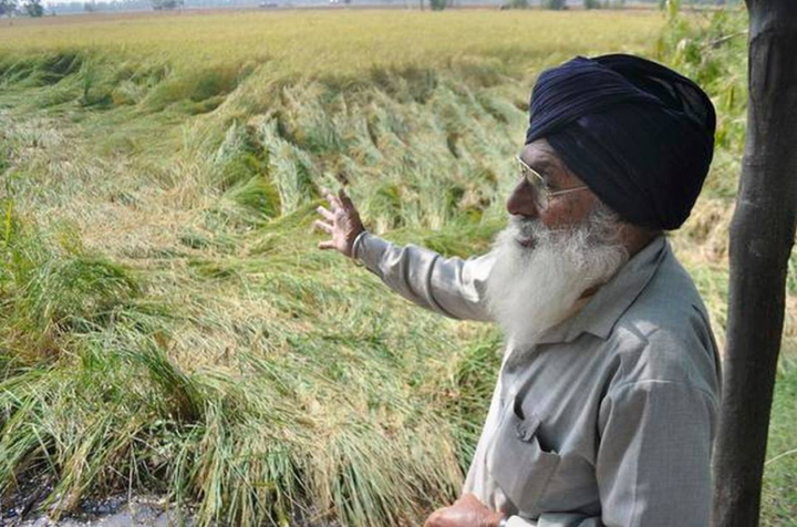 kisan
