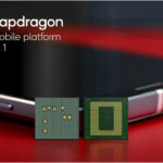 Snapdragon