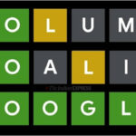 Google Search