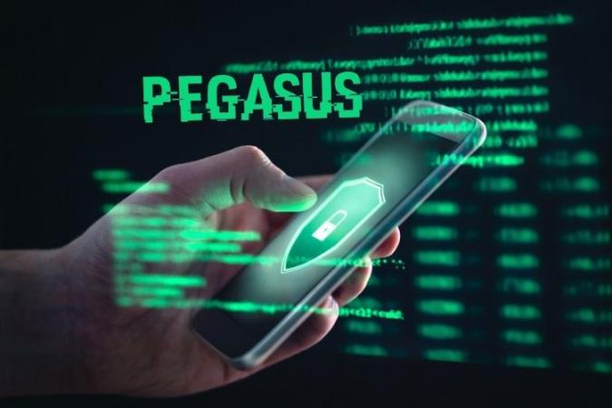 Pegasus pic