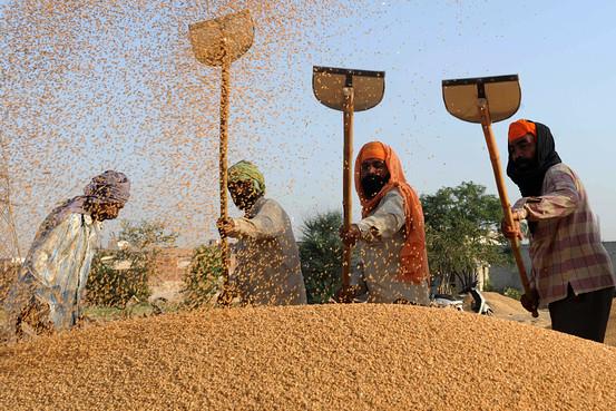 Pic for On agriculture and MSP