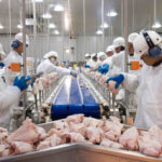 TysonPoultryLine_Lead
