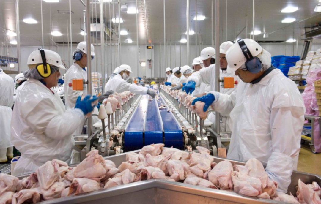 TysonPoultryLine_Lead